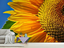 Laden Sie das Bild in den Galerie-Viewer, Fototapete Die Knospe Close up