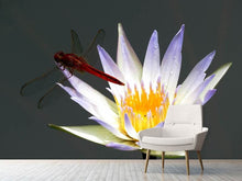 Laden Sie das Bild in den Galerie-Viewer, Fototapete Die Libelle auf der Blüte