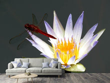 Laden Sie das Bild in den Galerie-Viewer, Fototapete Die Libelle auf der Blüte