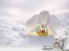 Laden Sie das Bild in den Galerie-Viewer, Fototapete Die Orchideen Blüte