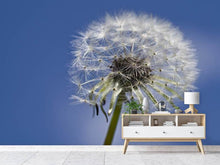 Laden Sie das Bild in den Galerie-Viewer, Fototapete Die Pusteblume in XXL