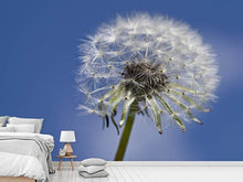 Laden Sie das Bild in den Galerie-Viewer, Fototapete Die Pusteblume in XXL