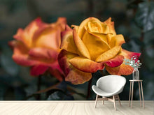 Laden Sie das Bild in den Galerie-Viewer, Fototapete Die Rose im Garten