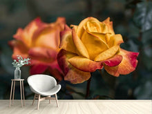 Laden Sie das Bild in den Galerie-Viewer, Fototapete Die Rose im Garten