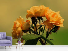 Laden Sie das Bild in den Galerie-Viewer, Fototapete Die Rosen in der Natur
