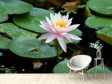 Laden Sie das Bild in den Galerie-Viewer, Fototapete Die stolze Seerose