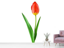 Laden Sie das Bild in den Galerie-Viewer, Fototapete Die stolze Tulpe