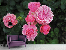 Laden Sie das Bild in den Galerie-Viewer, Fototapete Die wilden Rosen in pink