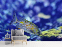 Laden Sie das Bild in den Galerie-Viewer, Fototapete Ein Fisch im Aquarium