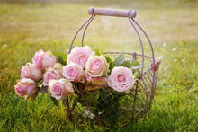Laden Sie das Bild in den Galerie-Viewer, Fototapete Ein Korb voller Rosen