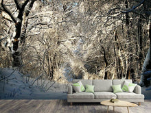 Laden Sie das Bild in den Galerie-Viewer, Fototapete Ein Winter Traum