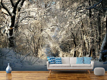 Laden Sie das Bild in den Galerie-Viewer, Fototapete Ein Winter Traum