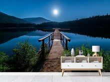 Laden Sie das Bild in den Galerie-Viewer, Fototapete Eine Nacht bei Vollmond