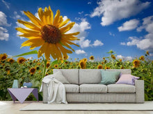 Laden Sie das Bild in den Galerie-Viewer, Fototapete Eine Sonnenblume unter vielen