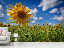 Laden Sie das Bild in den Galerie-Viewer, Fototapete Eine Sonnenblume unter vielen