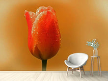 Laden Sie das Bild in den Galerie-Viewer, Fototapete Eine Tulpe im Morgentau
