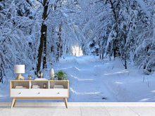 Laden Sie das Bild in den Galerie-Viewer, Fototapete Endlich Winter