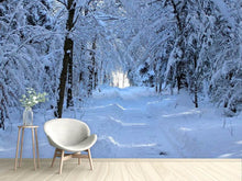 Laden Sie das Bild in den Galerie-Viewer, Fototapete Endlich Winter
