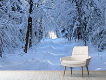 Laden Sie das Bild in den Galerie-Viewer, Fototapete Endlich Winter