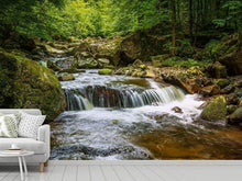 Laden Sie das Bild in den Galerie-Viewer, Fototapete Entspannung am Wasserfall