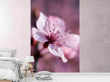 Laden Sie das Bild in den Galerie-Viewer, Fototapete Entzückende Kirschblüte