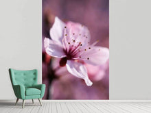 Laden Sie das Bild in den Galerie-Viewer, Fototapete Entzückende Kirschblüte