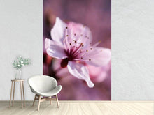Laden Sie das Bild in den Galerie-Viewer, Fototapete Entzückende Kirschblüte