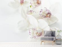 Laden Sie das Bild in den Galerie-Viewer, Fototapete Fantastische Orchideen