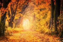 Laden Sie das Bild in den Galerie-Viewer, Fototapete Farben prächtiger Wald