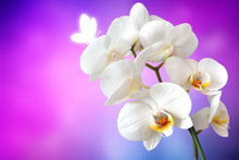 Laden Sie das Bild in den Galerie-Viewer, Fototapete Flower Power Orchidee