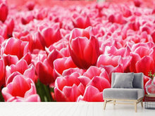 Laden Sie das Bild in den Galerie-Viewer, Fototapete Fröhliches Tulpenfeld