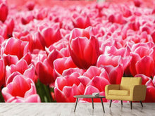 Laden Sie das Bild in den Galerie-Viewer, Fototapete Fröhliches Tulpenfeld