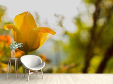 Laden Sie das Bild in den Galerie-Viewer, Fototapete Gelbe Tulpe in der Natur