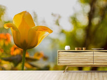 Laden Sie das Bild in den Galerie-Viewer, Fototapete Gelbe Tulpe in der Natur