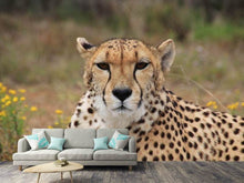 Laden Sie das Bild in den Galerie-Viewer, Fototapete Gepard XL