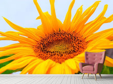 Laden Sie das Bild in den Galerie-Viewer, Fototapete Grosse Sonnenblume