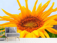 Laden Sie das Bild in den Galerie-Viewer, Fototapete Grosse Sonnenblume