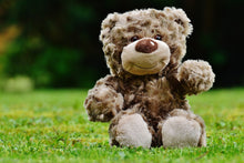 Laden Sie das Bild in den Galerie-Viewer, Fototapete Happy Teddybär