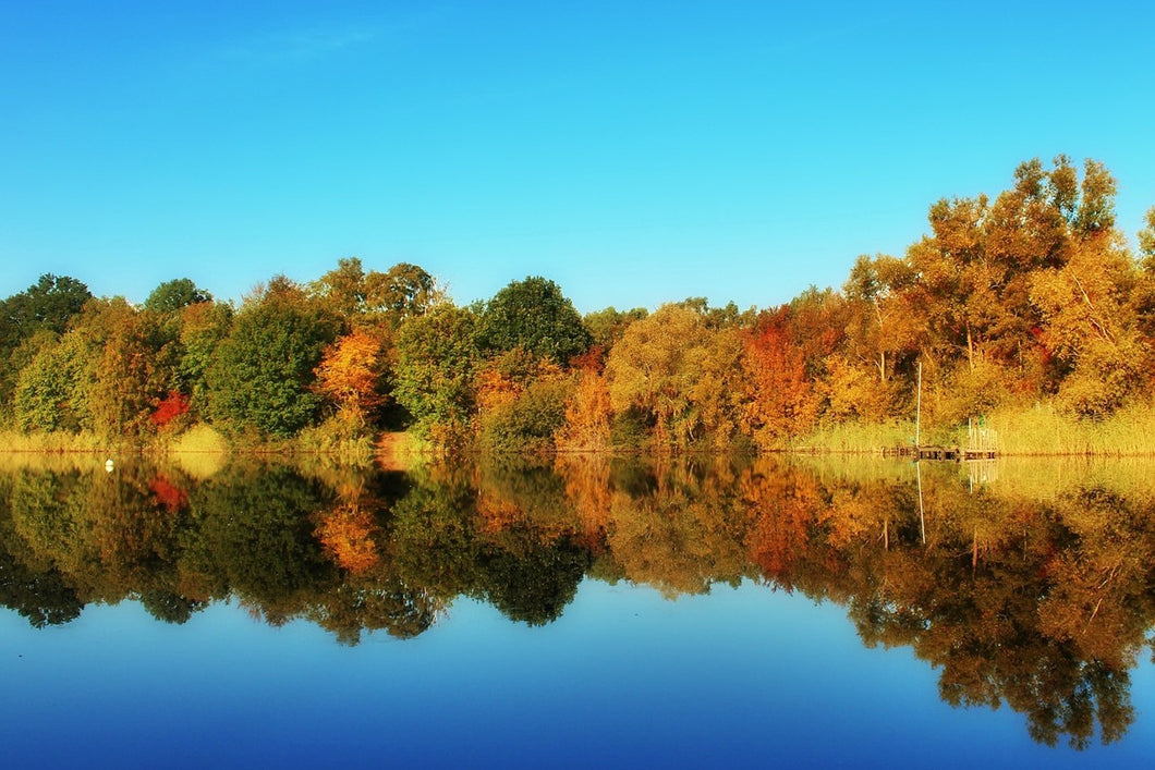 Fototapete Herbst Spiegelungen