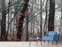 Laden Sie das Bild in den Galerie-Viewer, Fototapete Herbst Winter