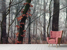 Laden Sie das Bild in den Galerie-Viewer, Fototapete Herbst Winter