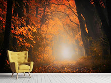 Laden Sie das Bild in den Galerie-Viewer, Fototapete Herbstlicht im Wald