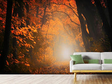 Laden Sie das Bild in den Galerie-Viewer, Fototapete Herbstlicht im Wald