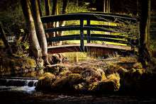 Laden Sie das Bild in den Galerie-Viewer, Fototapete Holzbrücke im Wald