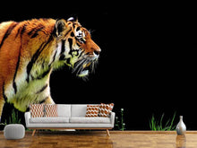 Laden Sie das Bild in den Galerie-Viewer, Fototapete Imposanter Tiger