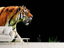 Laden Sie das Bild in den Galerie-Viewer, Fototapete Imposanter Tiger