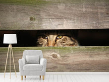 Laden Sie das Bild in den Galerie-Viewer, Fototapete Katze im Versteck