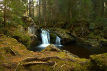 Laden Sie das Bild in den Galerie-Viewer, Fototapete Kleiner Wasserfall im Wald