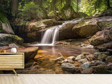 Laden Sie das Bild in den Galerie-Viewer, Fototapete Kleiner Wasserfall