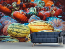 Laden Sie das Bild in den Galerie-Viewer, Fototapete Kürbis Arten